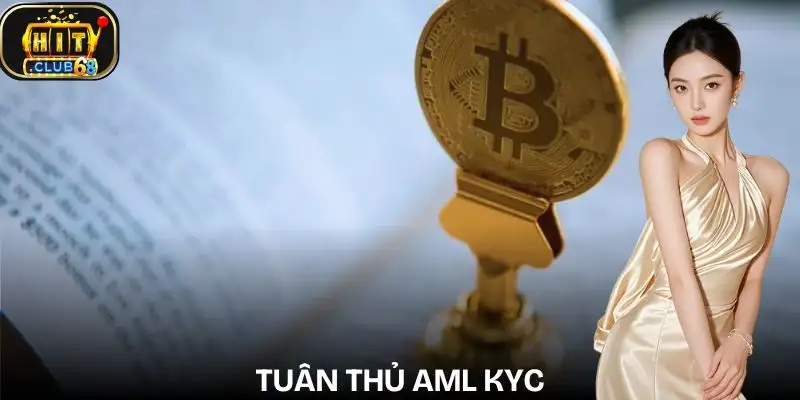 giay phep hoat dong hitclub aml kyc compliance giay phep hoat dong hitclub aml kyc compliance