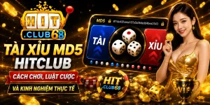 Tài xỉu MD5 Hitclub Cách chơi, luật cược và kinh nghiệm thực tế